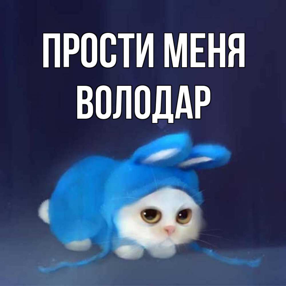 Открытка на каждый день с именем, Володар Прости меня невинный котозай просит прощения Прикольная открытка с пожеланием онлайн скачать бесплатно 
