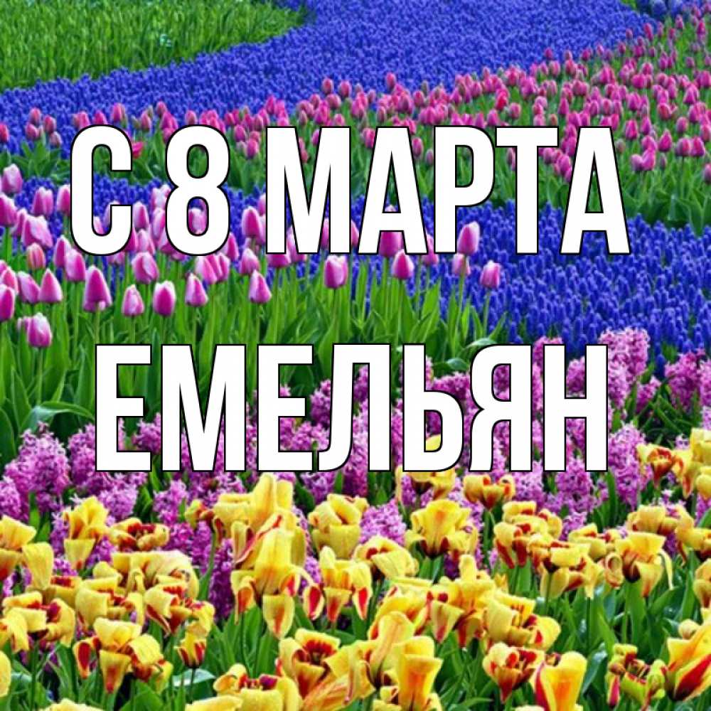 Открытка на каждый день с именем, Емельян С 8 марта цветы Прикольная открытка с пожеланием онлайн скачать бесплатно 