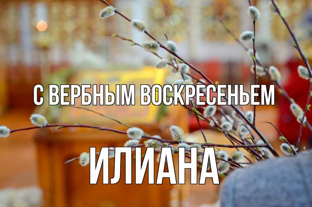 Открытка на каждый день с именем, Илиана С вербным воскресеньем верба Прикольная открытка с пожеланием онлайн скачать бесплатно 