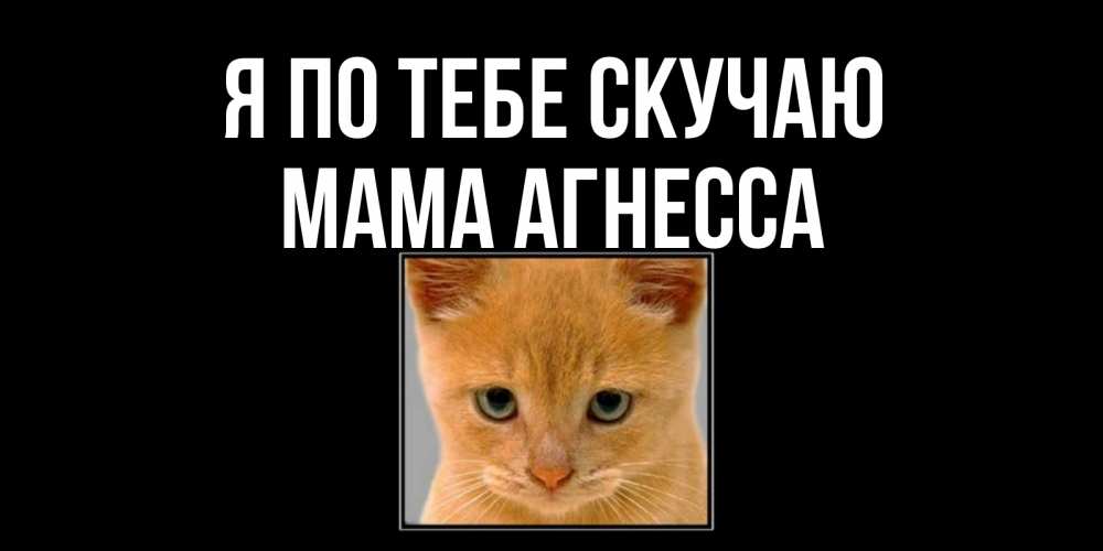 Открытка на каждый день с именем, Мама-Агнесса Я по тебе скучаю открытки рыжий котенок скучает по тебе Прикольная открытка с пожеланием онлайн скачать бесплатно 