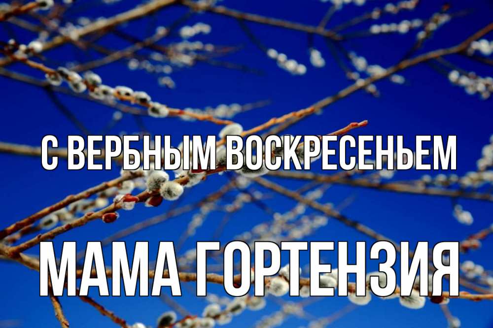Открытка на каждый день с именем, Мама-Гортензия С вербным воскресеньем верба Прикольная открытка с пожеланием онлайн скачать бесплатно 