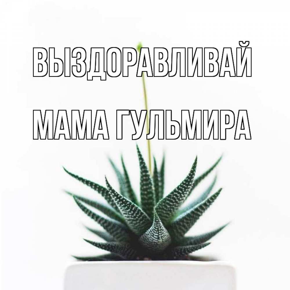 Открытка на каждый день с именем, Мама-Гульмира Выздоравливай короче это непонятная колючка Прикольная открытка с пожеланием онлайн скачать бесплатно 