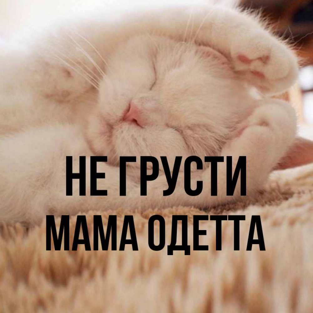 Открытка на каждый день с именем, Мама-Одетта Не грусти Котенок спит Прикольная открытка с пожеланием онлайн скачать бесплатно 