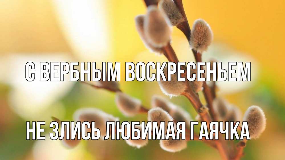 Открытка на каждый день с именем, Не-злись-любимая-Гаячка С вербным воскресеньем верба 1 Прикольная открытка с пожеланием онлайн скачать бесплатно 