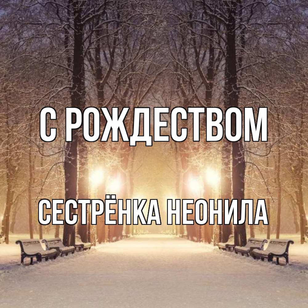 Открытка на каждый день с именем, Сестрёнка-Неонила С рождеством зима, парк, фонарь, лес Прикольная открытка с пожеланием онлайн скачать бесплатно 