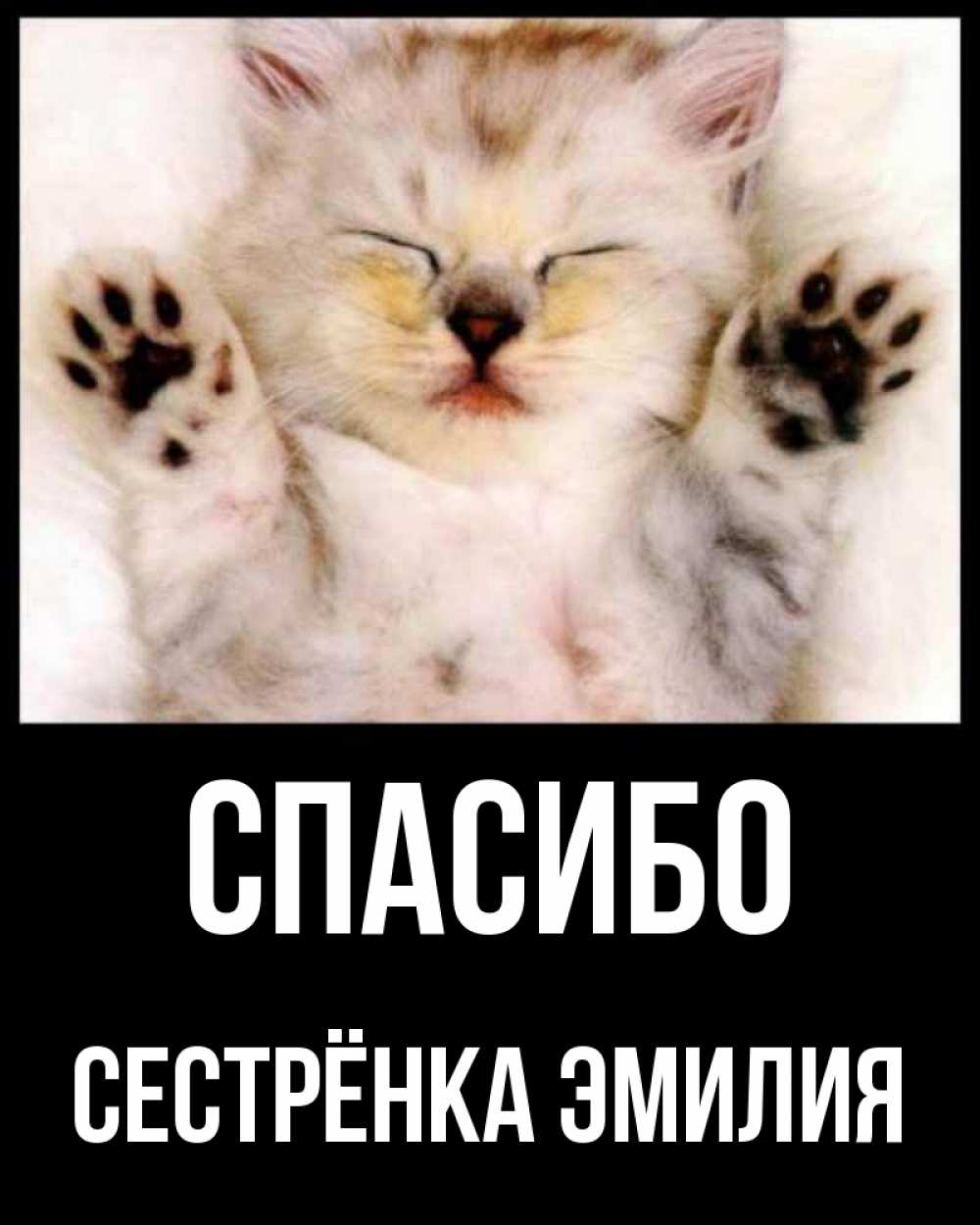 Открытка на каждый день с именем, Сестрёнка-Эмилия Спасибо маленький котенок Прикольная открытка с пожеланием онлайн скачать бесплатно 
