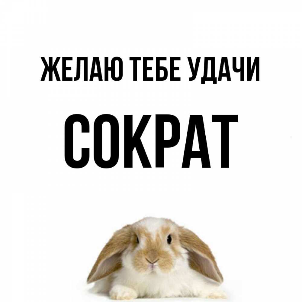 Открытка на каждый день с именем, Сократ Желаю тебе удачи открытки с произвольным текстом который можно вставить в открытку и создать ее самостоятельно бесплатно онлайн Прикольная открытка с пожеланием онлайн скачать бесплатно 