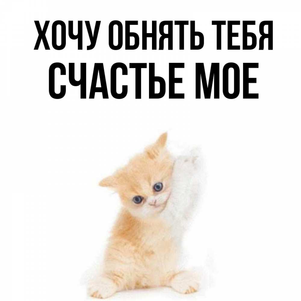 Открытка на каждый день с именем, Счастье-мое Хочу обнять тебя я хочу очень скорее обнимаешек Прикольная открытка с пожеланием онлайн скачать бесплатно 