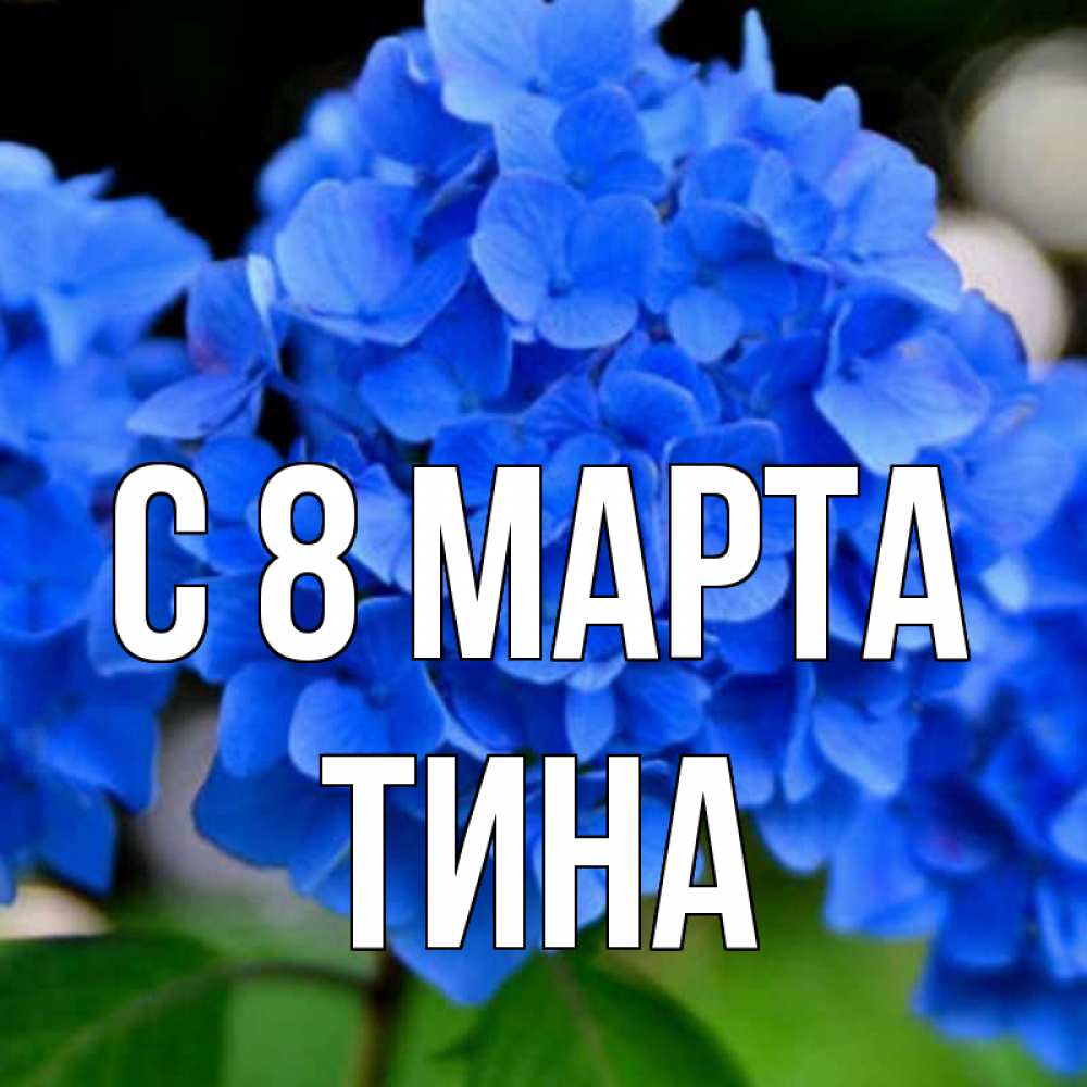 Открытка на каждый день с именем, Тина С 8 МАРТА синие цветы Прикольная открытка с пожеланием онлайн скачать бесплатно 