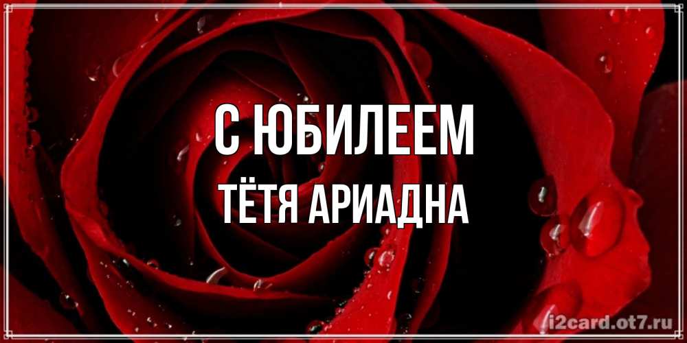 Открытка на каждый день с именем, Тётя-Ариадна С юбилеем крупная бордовая роза Прикольная открытка с пожеланием онлайн скачать бесплатно 