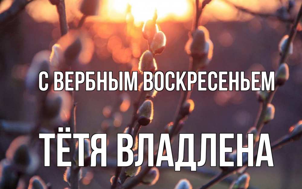 Открытка на каждый день с именем, Тётя-Владлена С вербным воскресеньем верба Прикольная открытка с пожеланием онлайн скачать бесплатно 