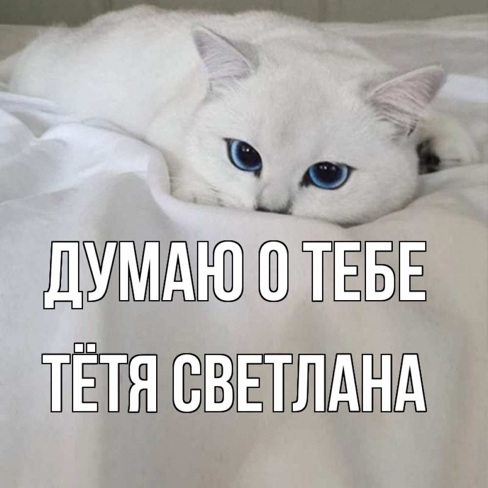 Открытка на каждый день с именем, Тётя-Светлана Думаю о тебе я очень по тебе скучаю и тоскую Прикольная открытка с пожеланием онлайн скачать бесплатно 