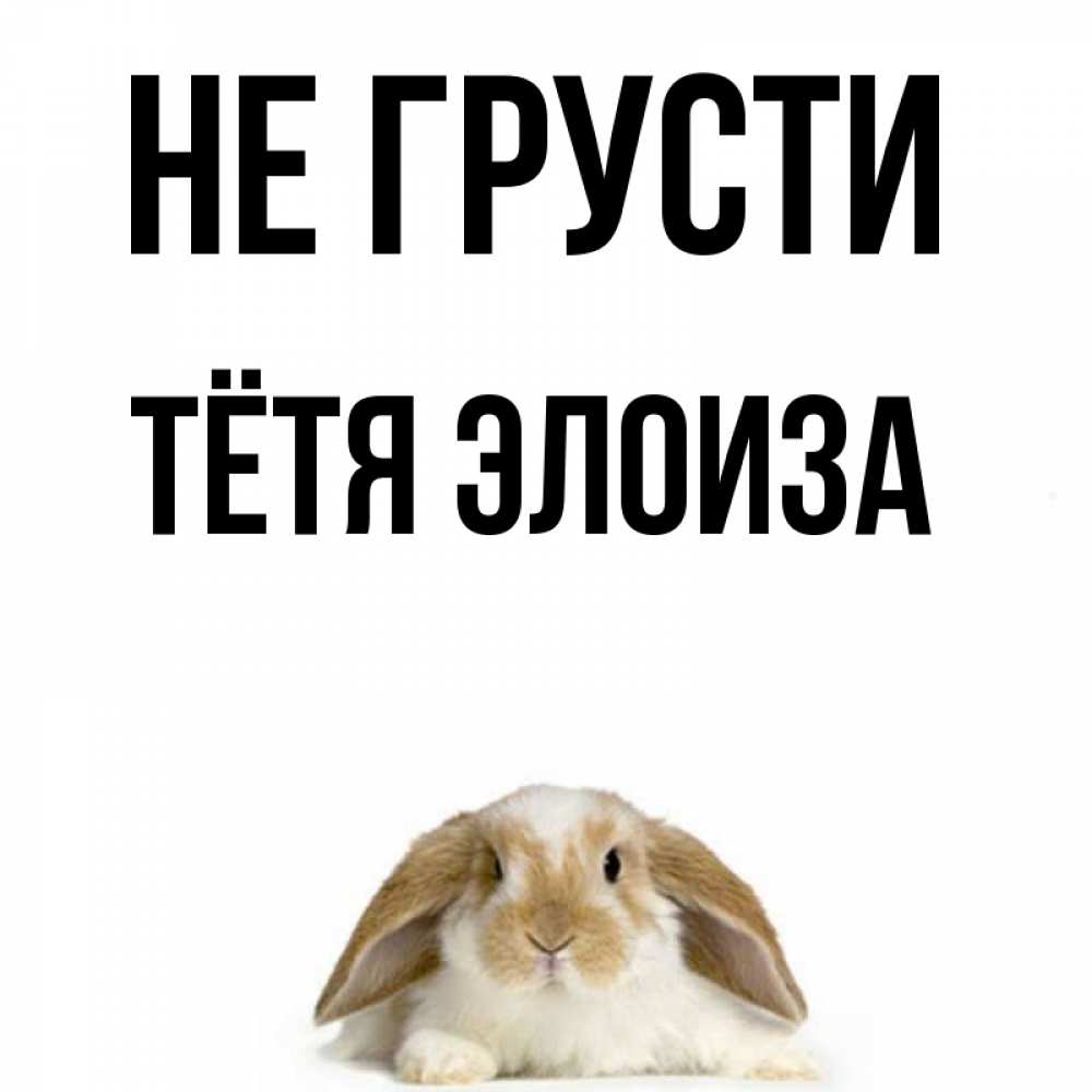 Открытка на каждый день с именем, Тётя-Элоиза Не грусти коричнево белый заяц с большими ушками Прикольная открытка с пожеланием онлайн скачать бесплатно 