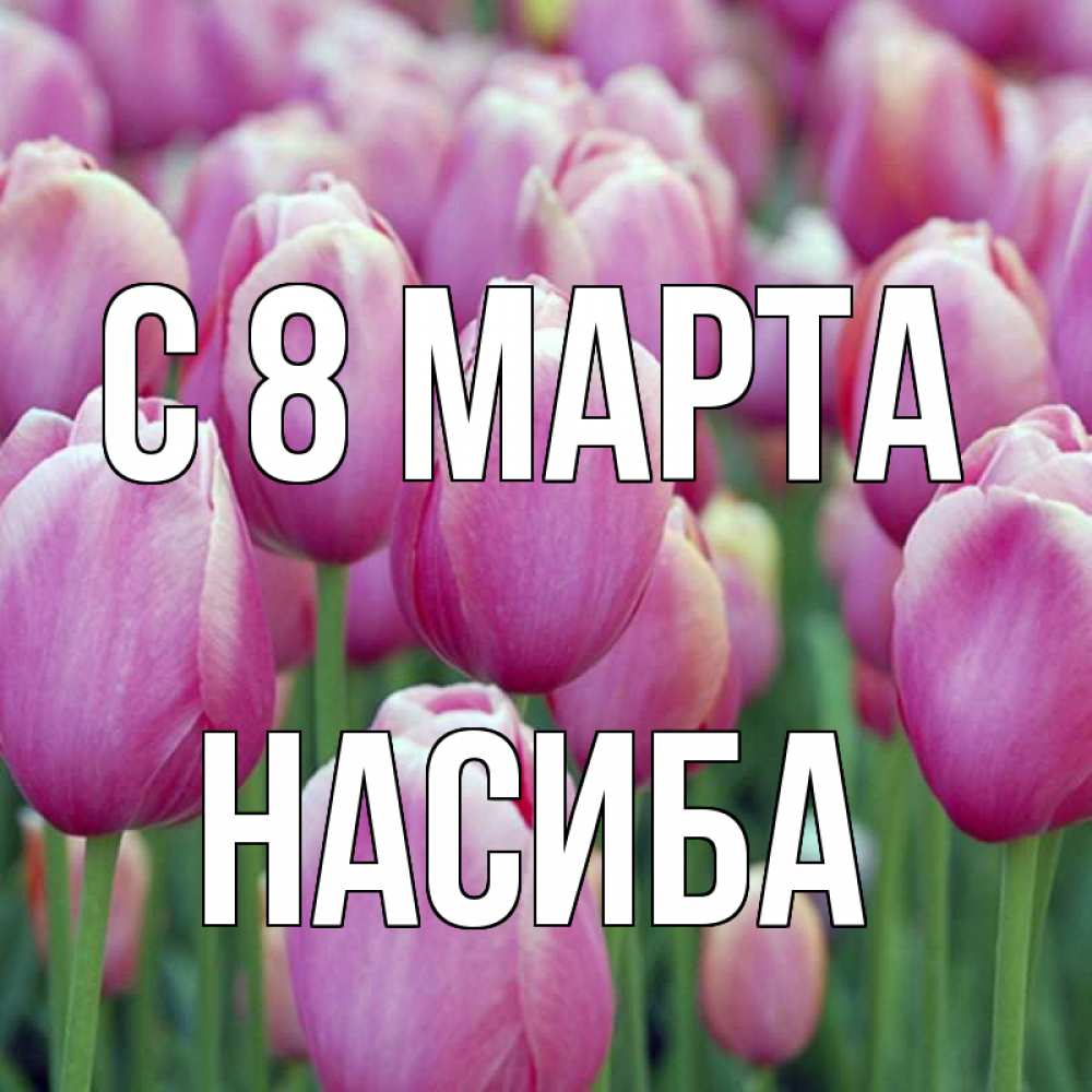 нашем картинки насиба прикол игры уже