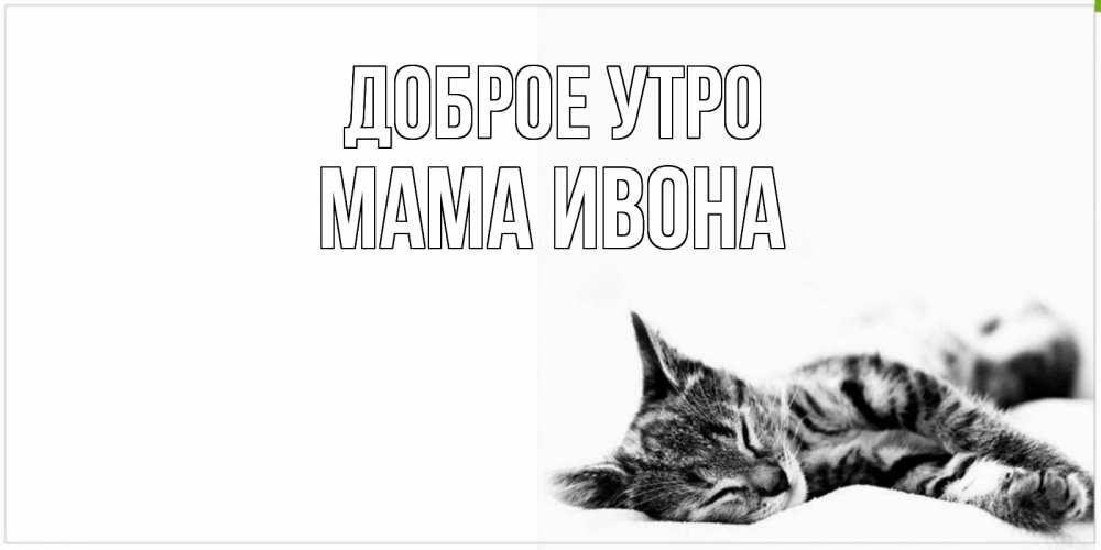 Открытка на каждый день с именем, Мама-Ивона Доброе утро котуся Прикольная открытка с пожеланием онлайн скачать бесплатно 