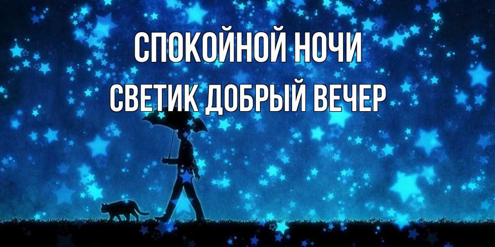 Открытка на каждый день с именем, Светик-добрый-вечер Спокойной ночи ночные прогулки с котом под звездами Прикольная открытка с пожеланием онлайн скачать бесплатно 