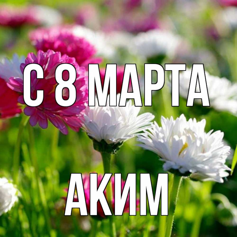 Открытка на каждый день с именем, Аким С 8 МАРТА международный женский день 1 Прикольная открытка с пожеланием онлайн скачать бесплатно 