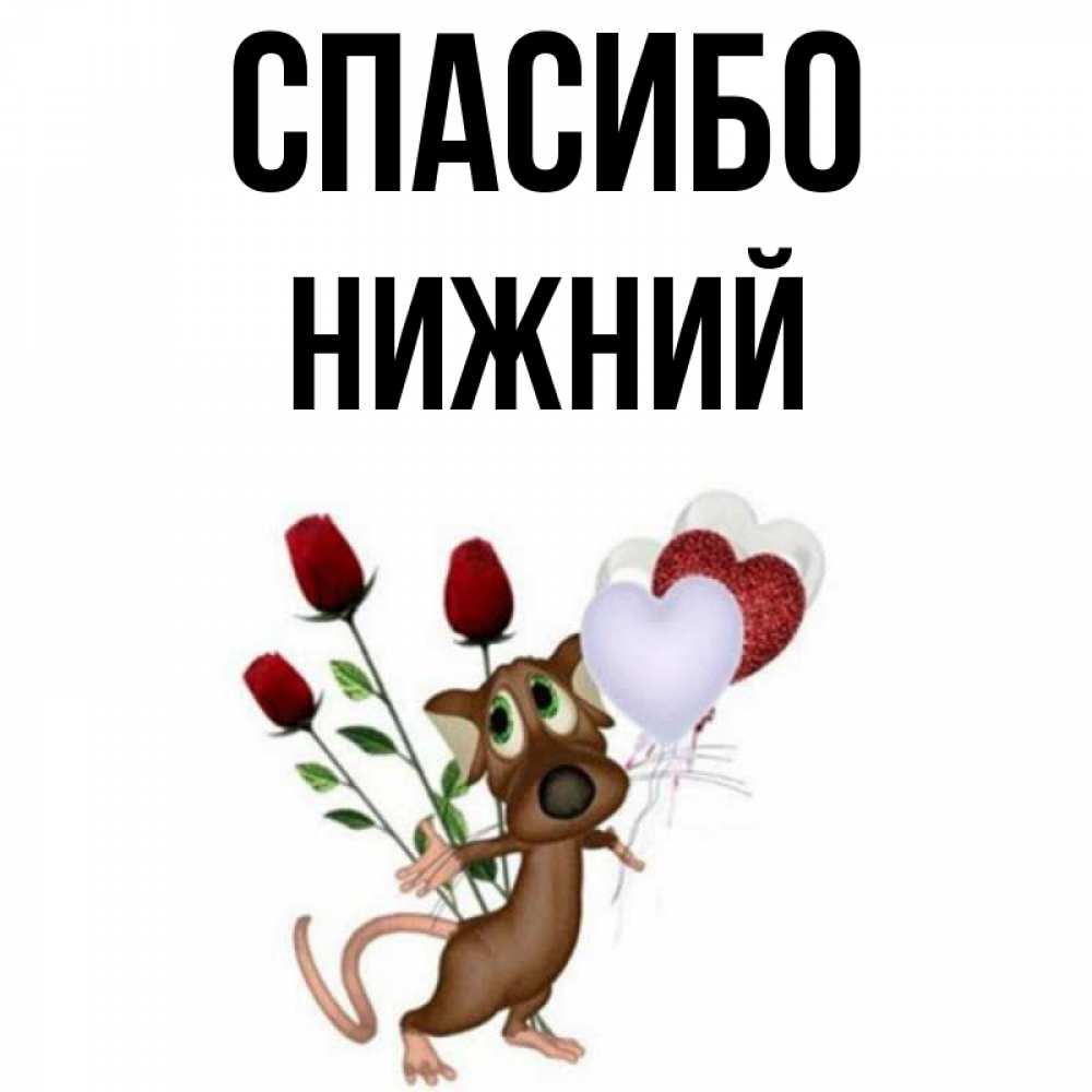 Имя нижний