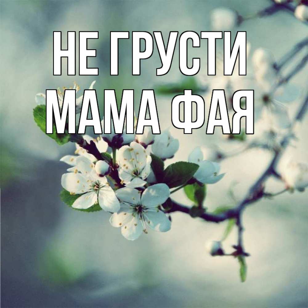 Открытка на каждый день с именем, Мама-Фая Не грусти яблоня в цвету 1 Прикольная открытка с пожеланием онлайн скачать бесплатно 