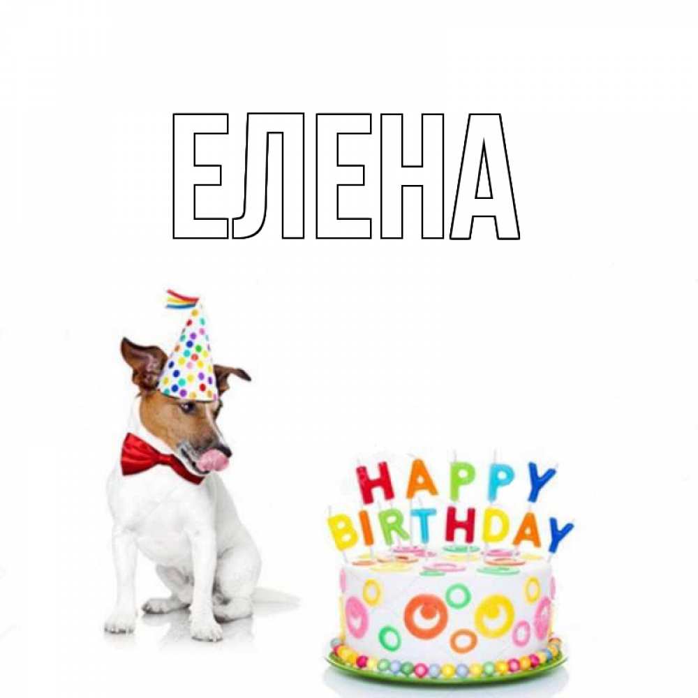 Открытка на каждый день с именем, Елена Главная праздник Прикольная открытка с пожеланием онлайн скачать бесплатно 