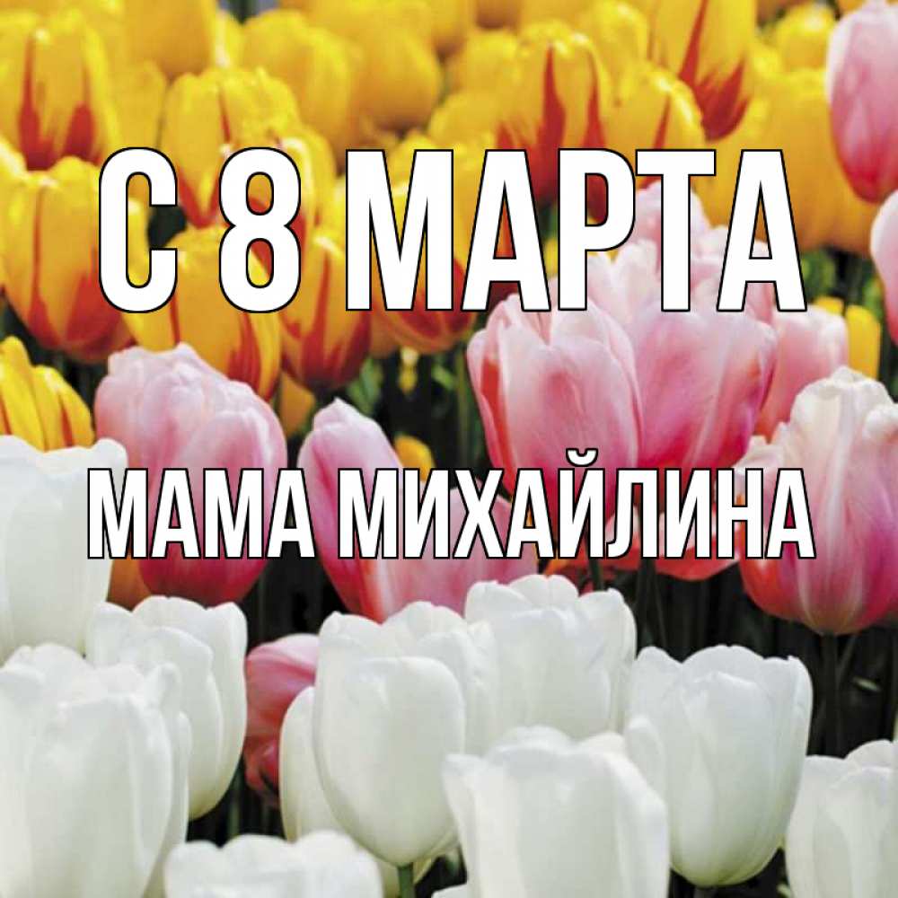 Открытка на каждый день с именем, Мама-Михайлина С 8 МАРТА разноцветные цветы Прикольная открытка с пожеланием онлайн скачать бесплатно 