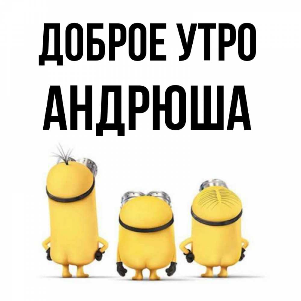 Андрюша Доброе Утро