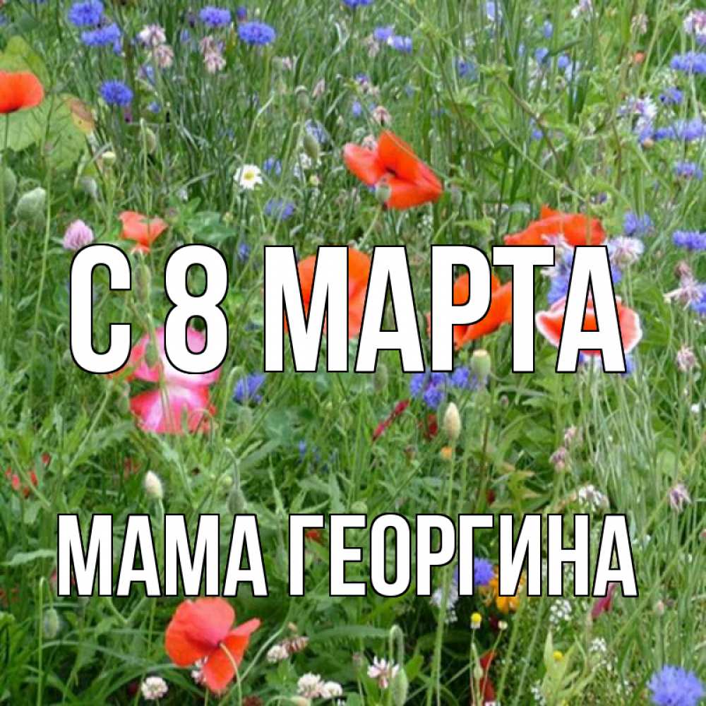 Открытка на каждый день с именем, Мама-Георгина С 8 марта международный женский день 4 Прикольная открытка с пожеланием онлайн скачать бесплатно 