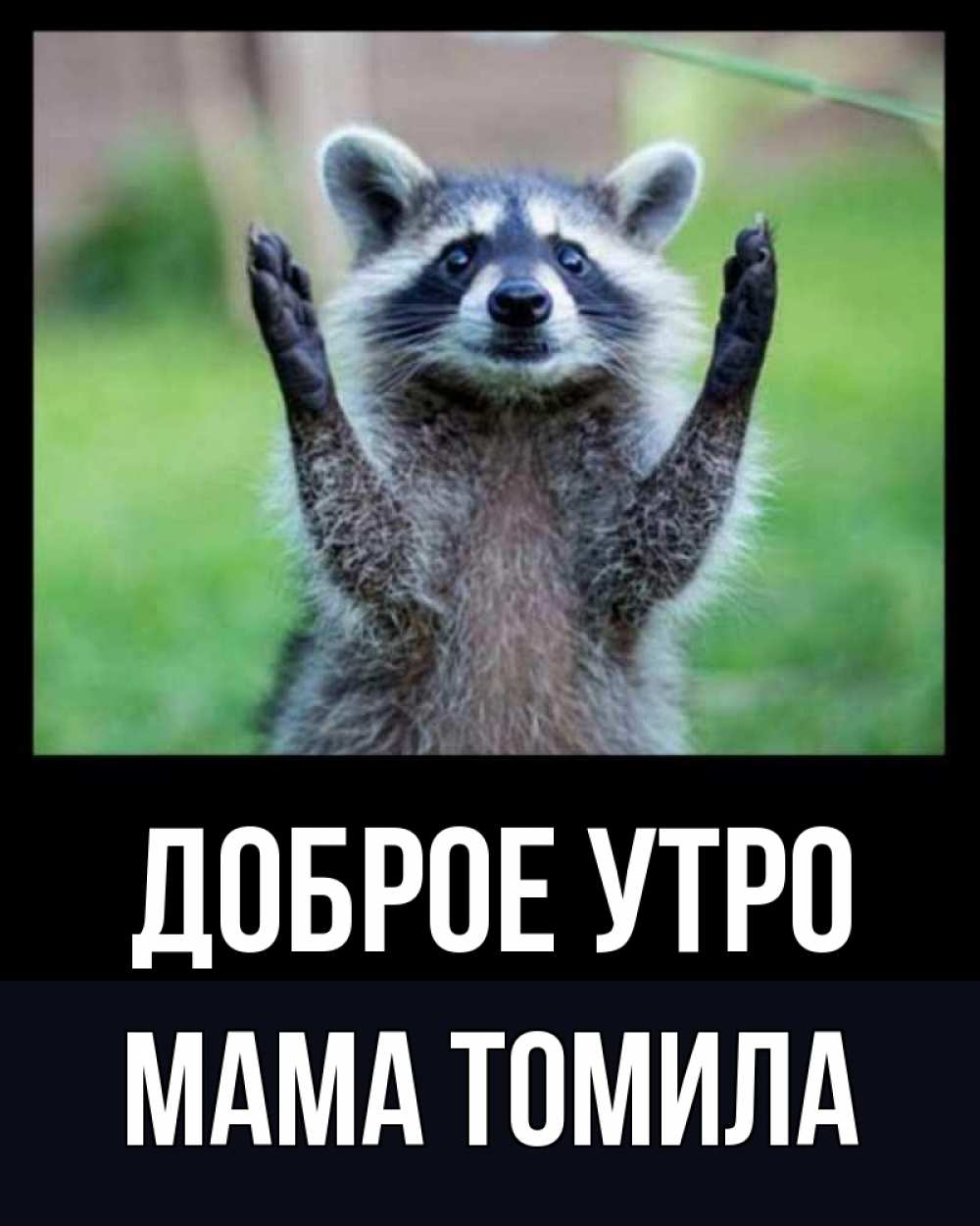 Открытка на каждый день с именем, Мама-Томила Доброе утро хорошее настроение утречком Прикольная открытка с пожеланием онлайн скачать бесплатно 