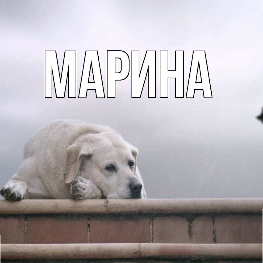 Открытка на каждый день с именем, Марина Главная ждет Прикольная открытка с пожеланием онлайн скачать бесплатно 
