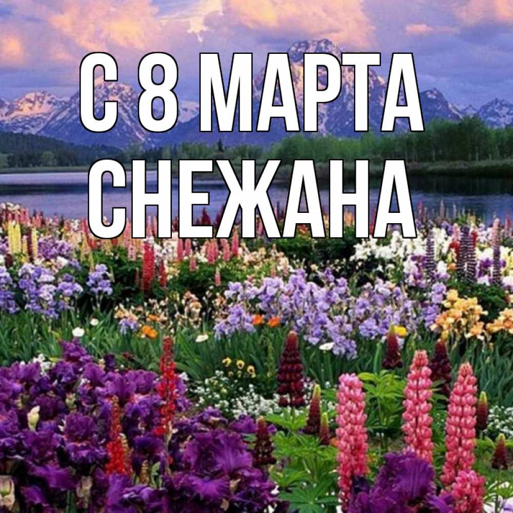 Открытка на каждый день с именем, Снежана С 8 МАРТА международный женский день Прикольная открытка с пожеланием онлайн скачать бесплатно 