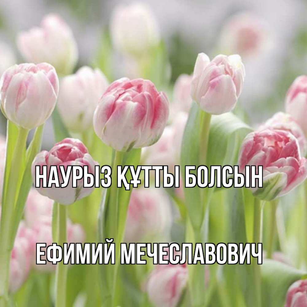 Картинка Наурыз құтты болсын, Ефимий Мечеславович