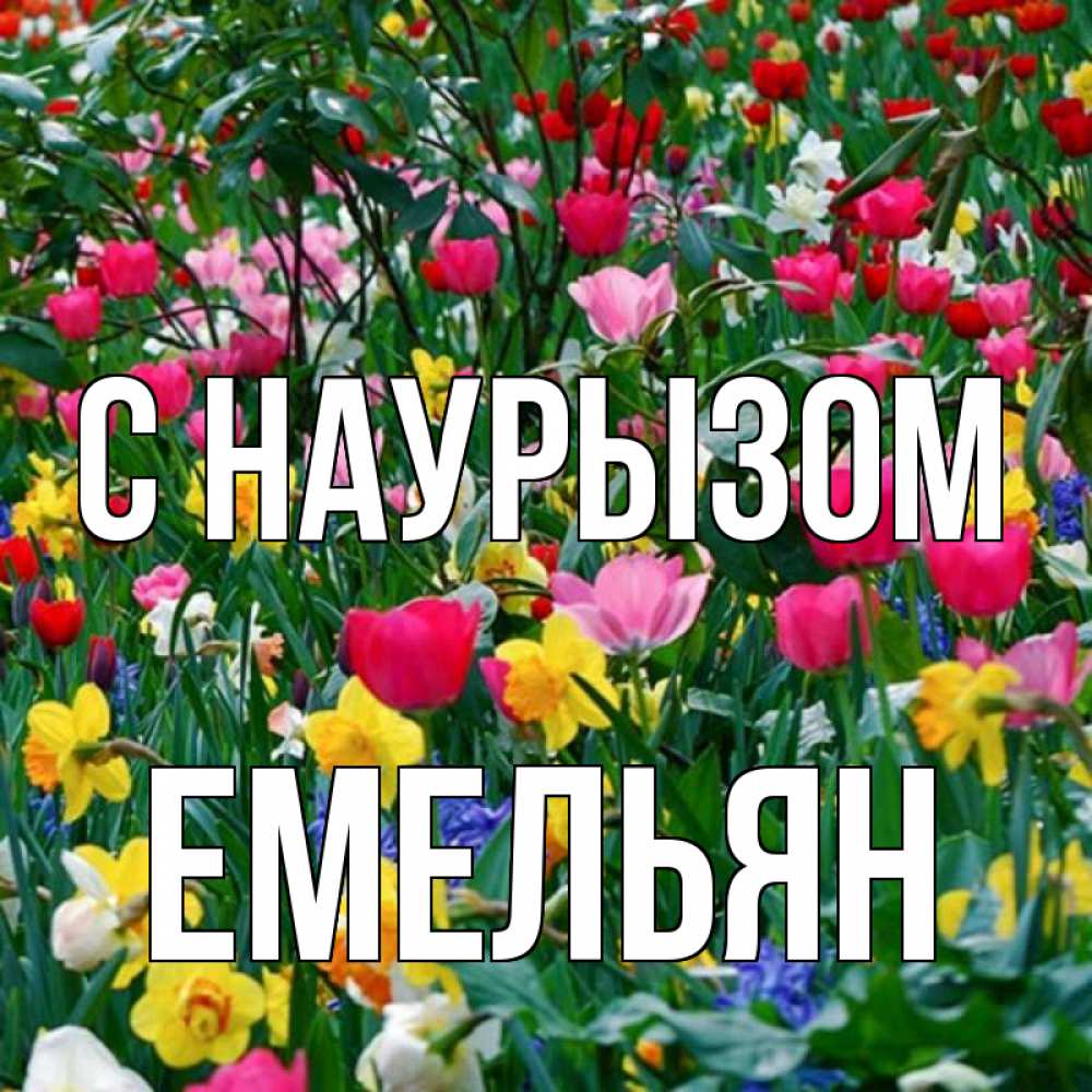 Открытка на каждый день с именем, Емельян С наурызом с наурызом праздником весны поздравления для женщины Прикольная открытка с пожеланием онлайн скачать бесплатно 
