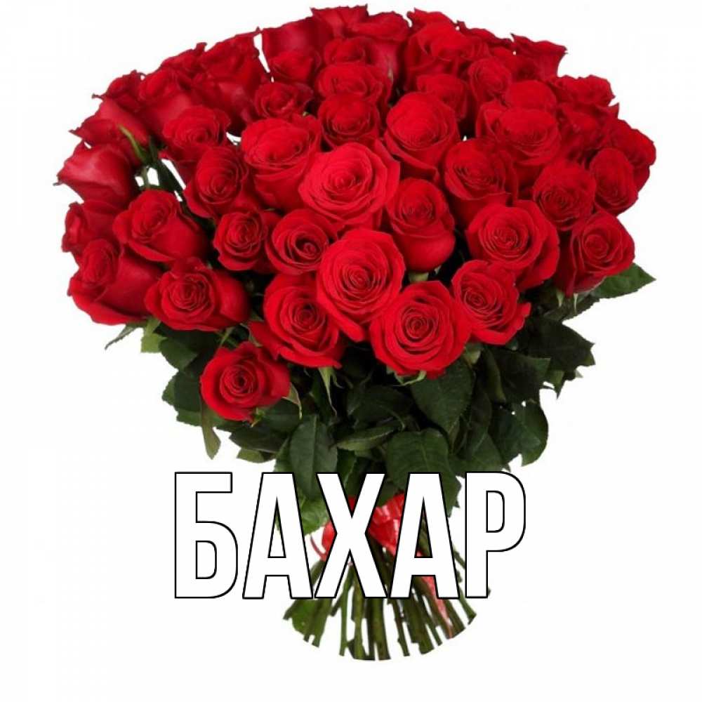 Картинка  с именем , Бахар