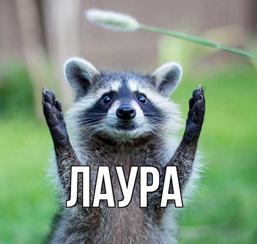 Картинка  с именем , Лаура