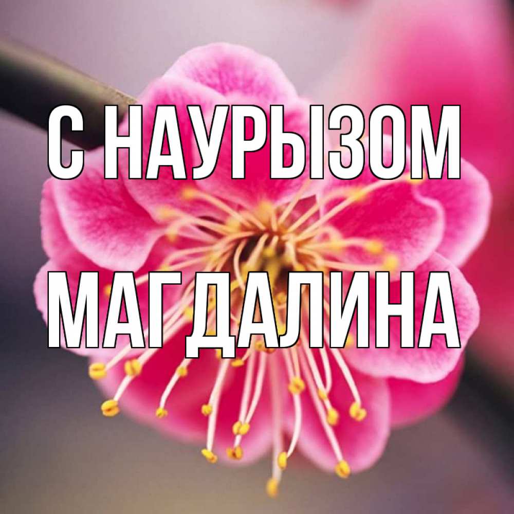 Открытка на каждый день с именем, Магдалина С наурызом цветы Прикольная открытка с пожеланием онлайн скачать бесплатно 