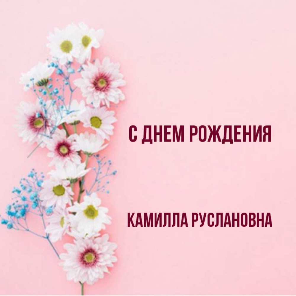 С Днем Рождения Камиллу