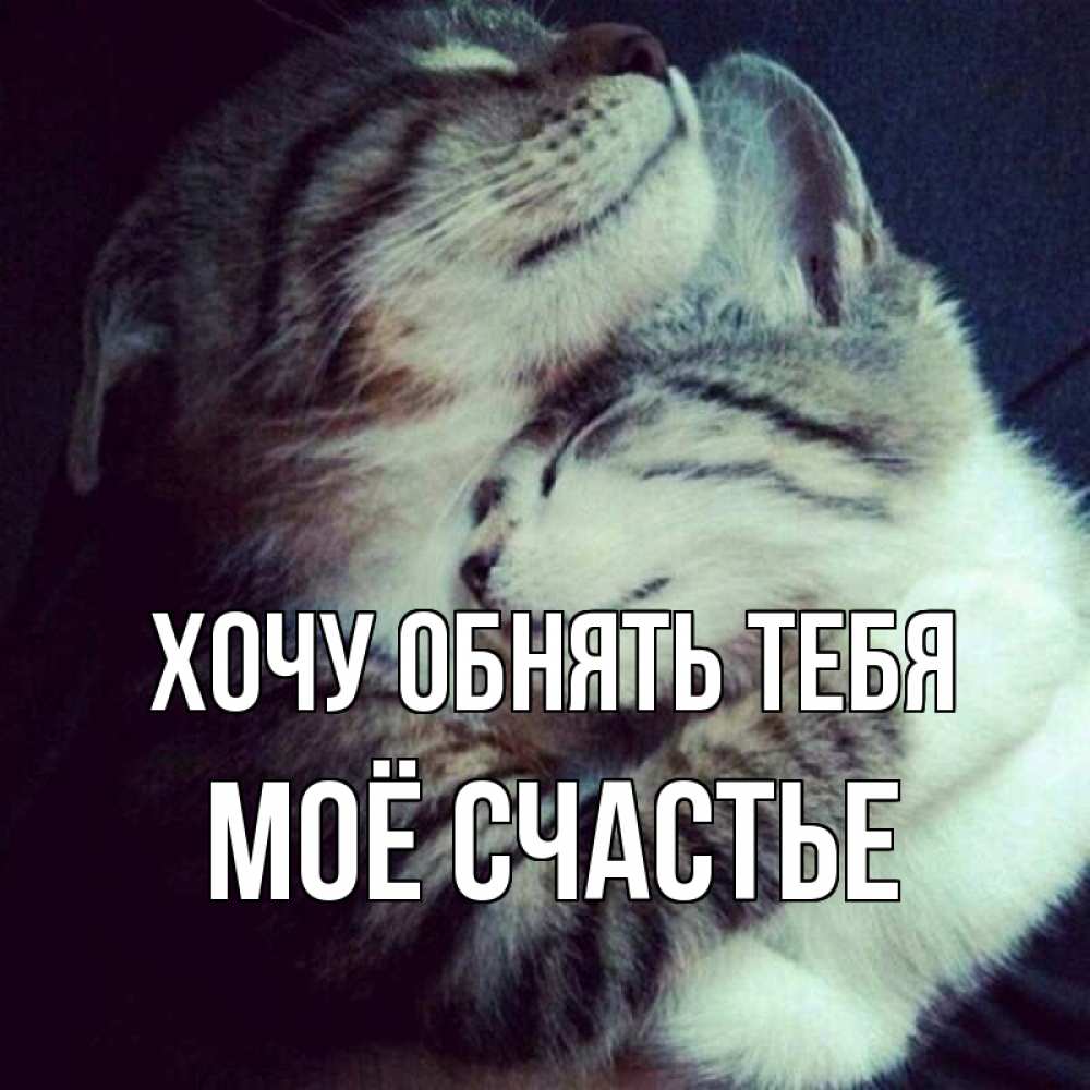 Картинка Хочу обнять тебя, Моё счастье