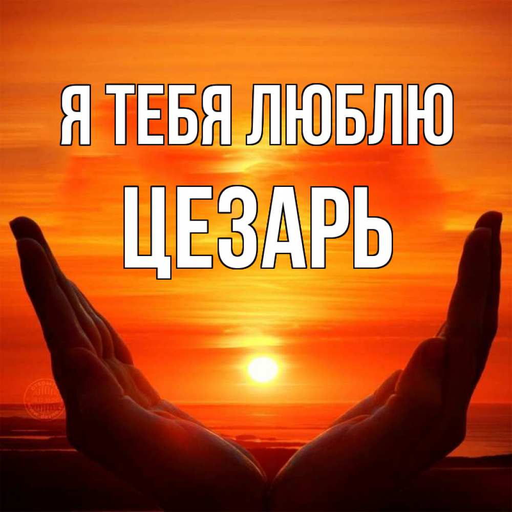 Открытка на каждый день с именем, Цезарь Я тебя люблю в руках Прикольная открытка с пожеланием онлайн скачать бесплатно 