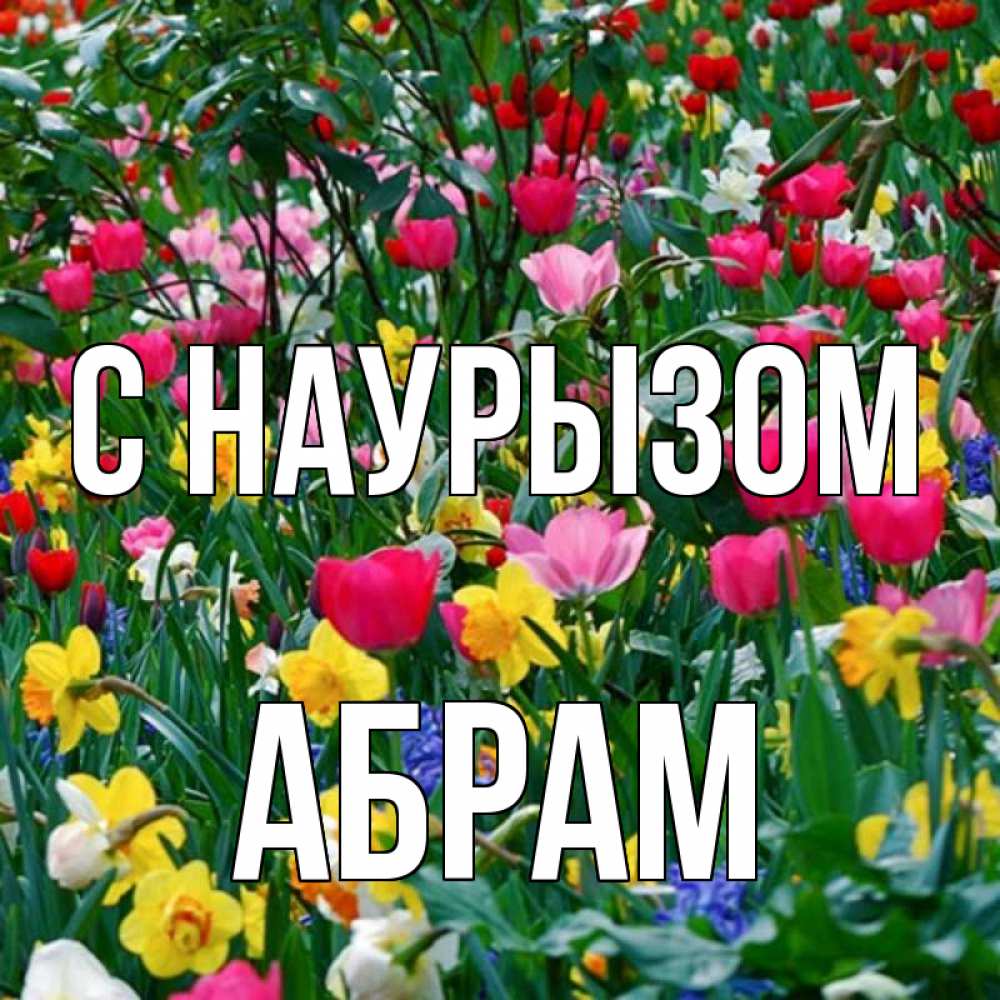 Открытка на каждый день с именем, Абрам С наурызом с наурызом праздником весны поздравления для женщины Прикольная открытка с пожеланием онлайн скачать бесплатно 