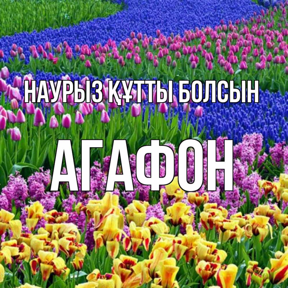 Открытка на каждый день с именем, Агафон Наурыз құтты болсын цветы Прикольная открытка с пожеланием онлайн скачать бесплатно 