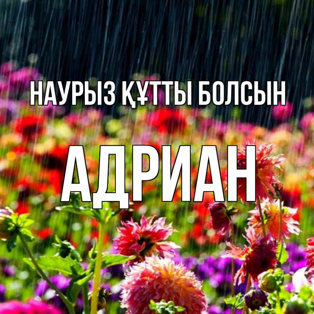 Открытка на каждый день с именем, Адриан Наурыз құтты болсын цветы под дождиком к наурызу Прикольная открытка с пожеланием онлайн скачать бесплатно 