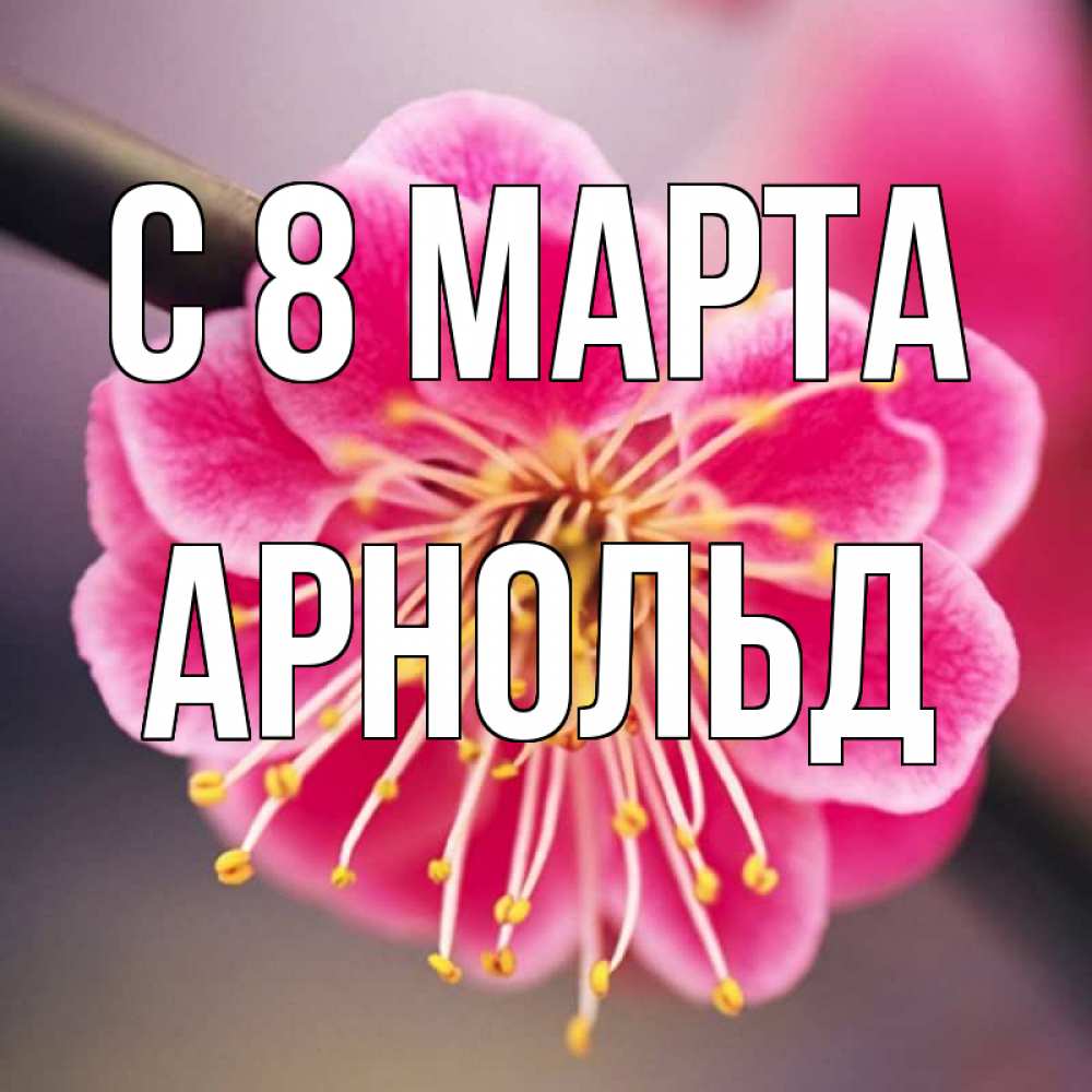 Открытка на каждый день с именем, Арнольд С 8 МАРТА цветы Прикольная открытка с пожеланием онлайн скачать бесплатно 