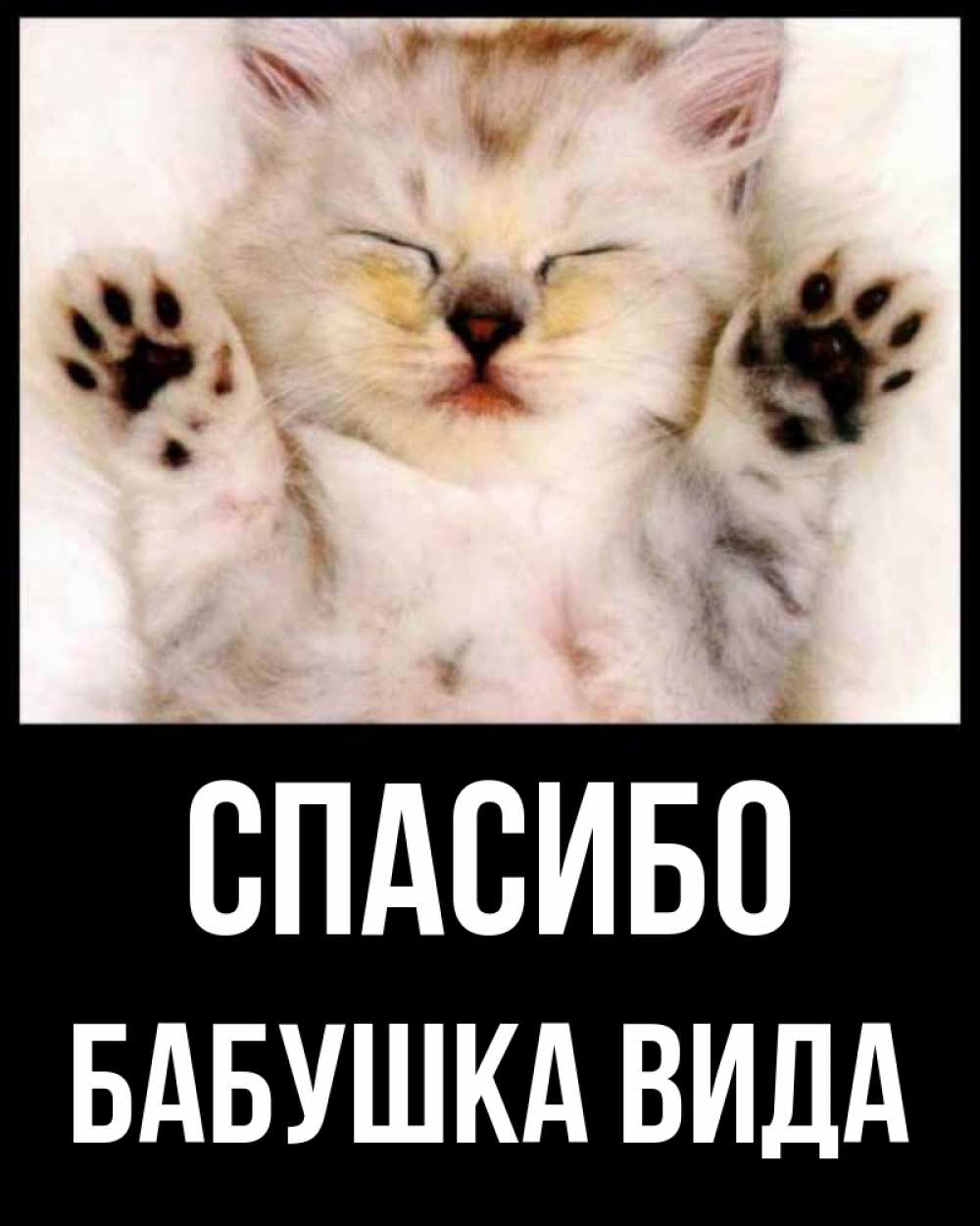 Открытка на каждый день с именем, Бабушка-Вида Спасибо маленький котенок Прикольная открытка с пожеланием онлайн скачать бесплатно 