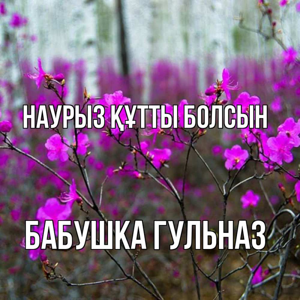 Открытка на каждый день с именем, Бабушка-Гульназ Наурыз құтты болсын дикие цветы Прикольная открытка с пожеланием онлайн скачать бесплатно 
