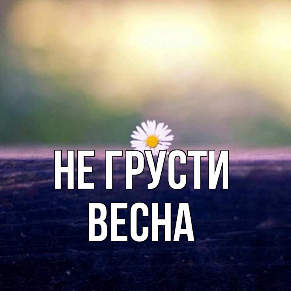 Открытка на каждый день с именем, Весна Не грусти красота Прикольная открытка с пожеланием онлайн скачать бесплатно 