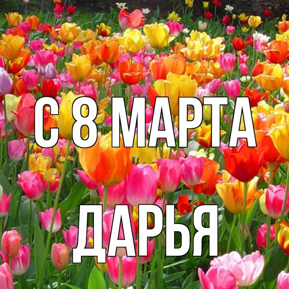 Открытка на каждый день с именем, Дарья С 8 МАРТА на международный женский день Прикольная открытка с пожеланием онлайн скачать бесплатно 