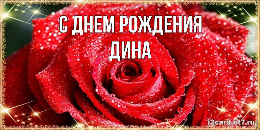 Открытка на каждый день с именем, Дина С днем рождения роса и роза. открытка с красивой розой Прикольная открытка с пожеланием онлайн скачать бесплатно 