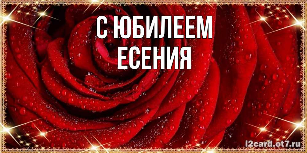 Открытка на каждый день с именем, Есения С юбилеем роса на розе блестящая в лучах солнца Прикольная открытка с пожеланием онлайн скачать бесплатно 