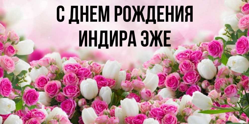 Открытка на каждый день с именем, Индира-эже С днем рождения открытка с разными розами Прикольная открытка с пожеланием онлайн скачать бесплатно 