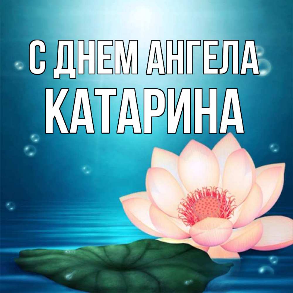 Открытка на каждый день с именем, Катарина С днем ангела кувшинка Прикольная открытка с пожеланием онлайн скачать бесплатно 